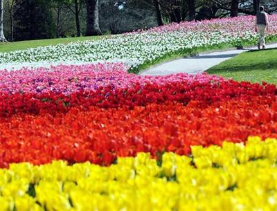 Les jardins du château de CHEVERNY