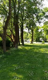 Offre spéciale au camping Au Coeur de Vendôme proche Zoo de Beauval - Camping Au Cœur de Vendôme