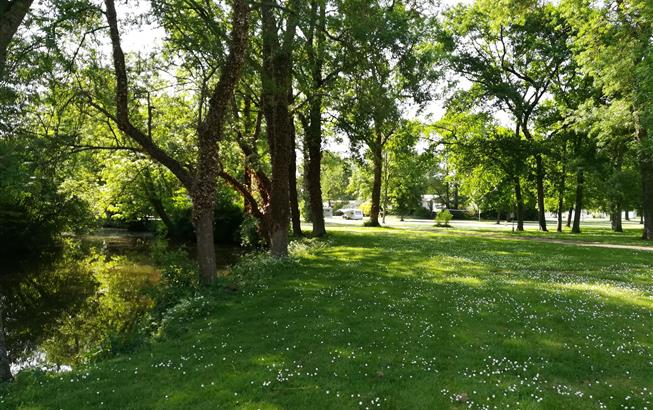 Offre spéciale au camping Au Coeur de Vendôme proche Zoo de Beauval - Camping Au Cœur de Vendôme