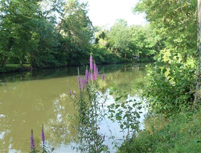 Pêche-camping-Au-Coeur-de-Vendôme