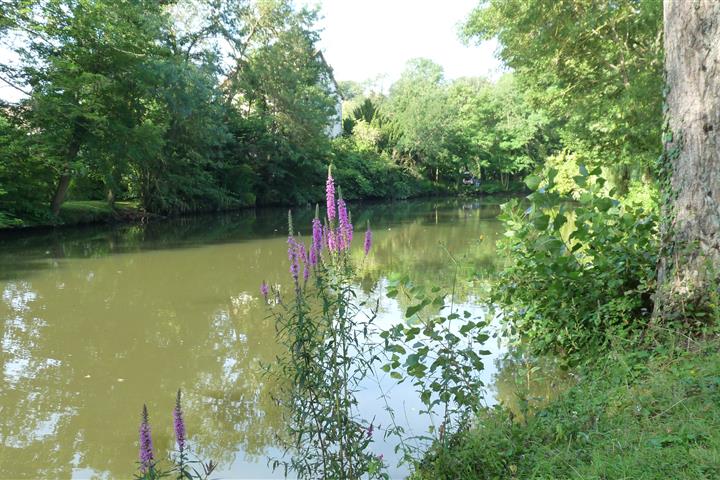 Pêche-camping-Au-Coeur-de-Vendôme - Camping Au Cœur de Vendôme