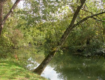 Pêche-camping-Au-Coeur-de-Vendôme