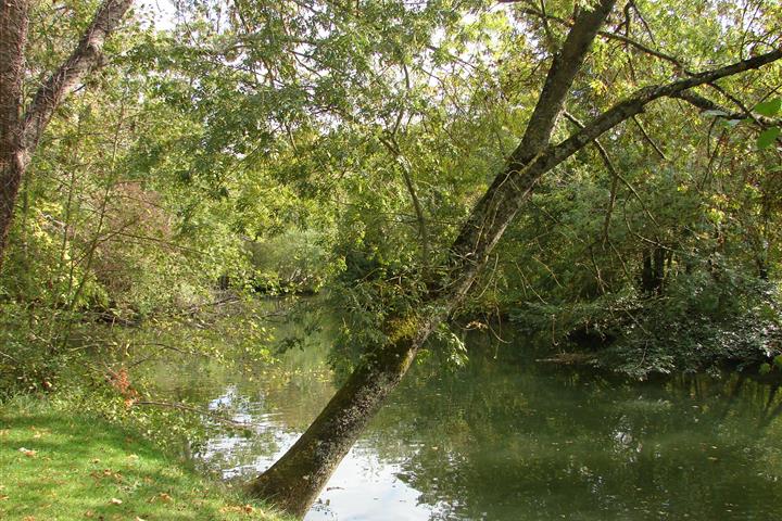 Pêche-camping-Au-Coeur-de-Vendôme - Camping Au Cœur de Vendôme