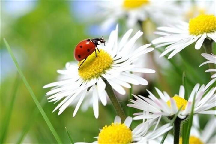 Camping-Au-Cœur-de-Vendôme-Développement-Durable - Camping Au Cœur de Vendôme