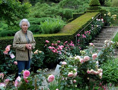 Jardin-du-Plessis-Sasnières-Rosamée-Henrion